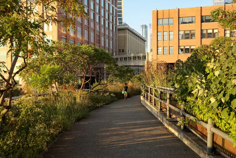 New Yorgi High Line'i park