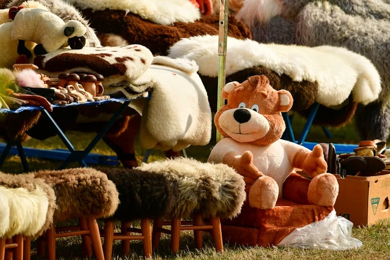 Mõniste kodukandipäev: 22. augustil tasuta kava õhtuni