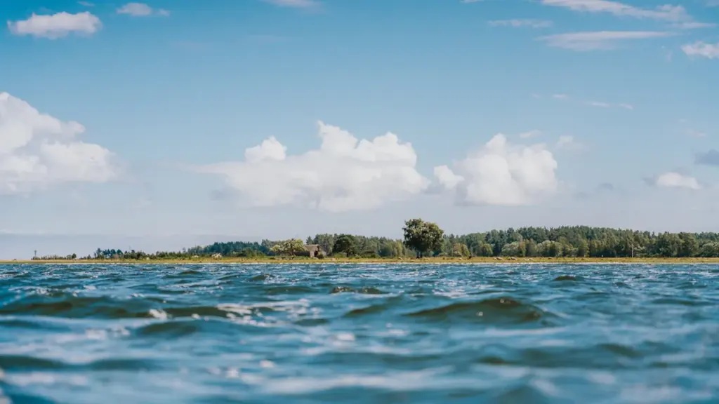 Saaremaa mereäärne maastik suvisel ajal koos silmapiiril paistva väikese saarega.