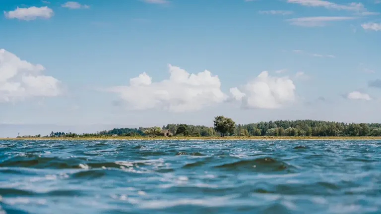 Saaremaa mereäärne maastik suvisel ajal koos silmapiiril paistva väikese saarega.