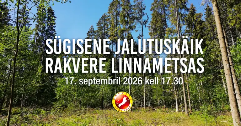 Tasuta loodusretk Rakvere Linnametsas: uuri metsamajandamist ja elurikkust